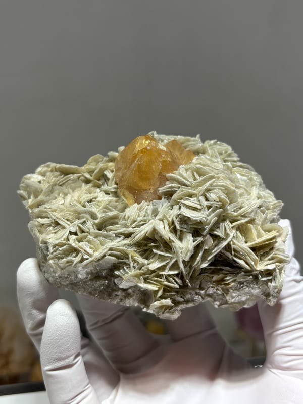 Orange scheelite in bed of tan mica from Xuebaoding, Sichuan, China, held in gloved hand