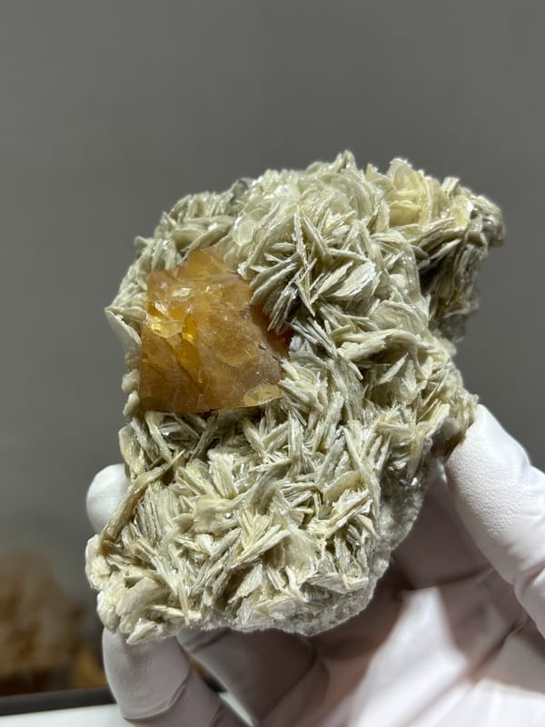 Orange scheelite in bed of tan mica from Xuebaoding, Sichuan, China, top view