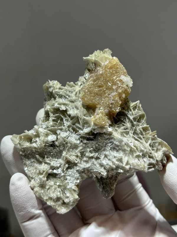 Honey scheelite crystal on grey mica block from Xuebaoding, Sichuan, China, held in gloved hand