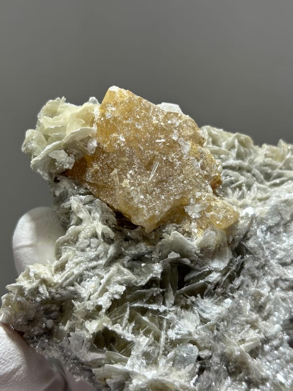 Honey scheelite crystal on grey mica block from Xuebaoding, Sichuan, China, close-up of the crystal faces