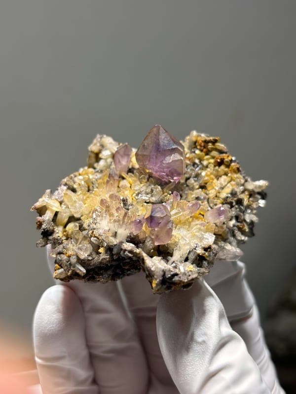 Purple amethyst points on druse plate from Zimbabwe, held in gloved hand