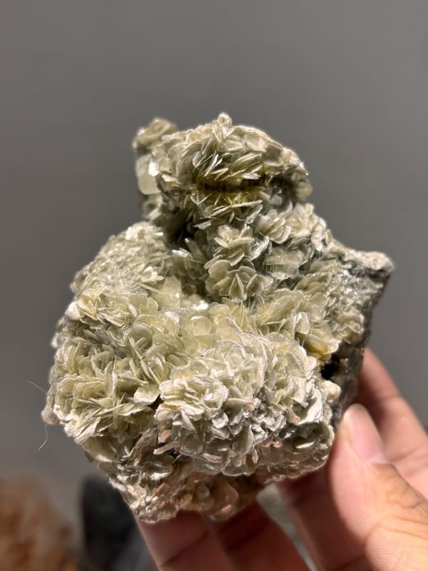 Dome of tan mica rosettes with scheelite from Xuebaoding, Sichuan, China, held in hand