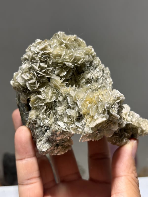 Dome of tan mica rosettes with scheelite from Xuebaoding, Sichuan, China, close-up of the crystal faces
