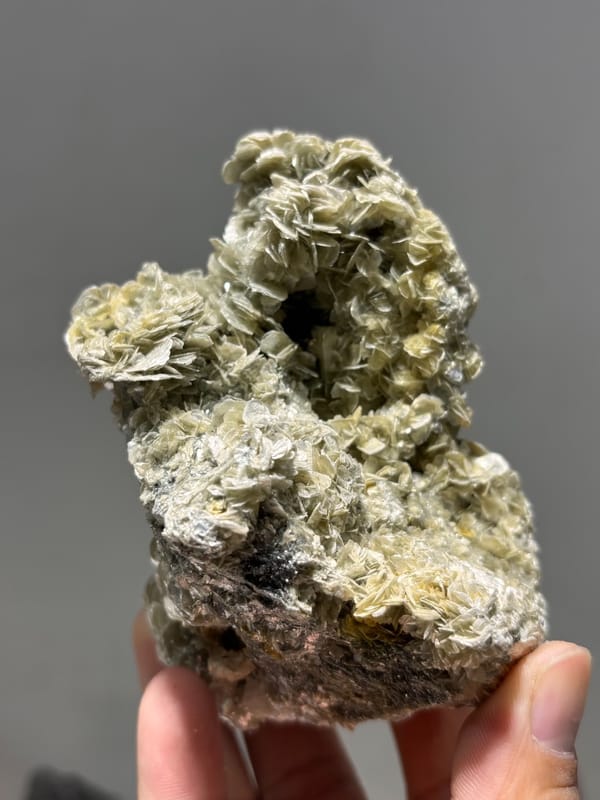 Dome of tan mica rosettes with scheelite from Xuebaoding, Sichuan, China, reverse side