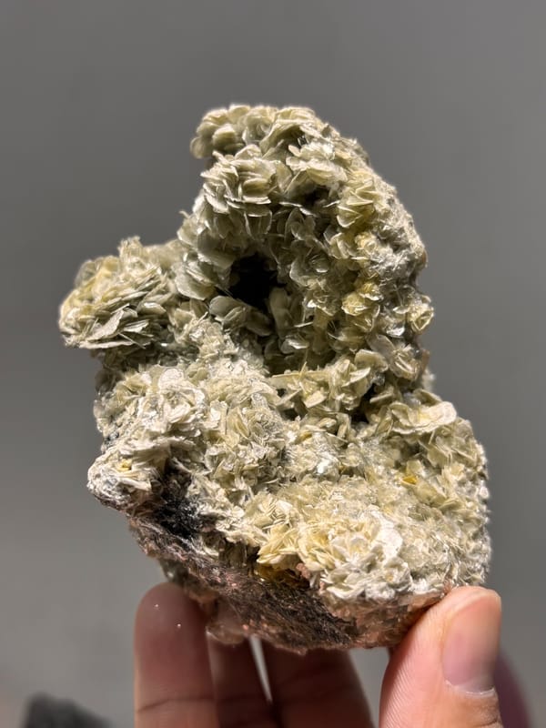 Dome of tan mica rosettes with scheelite from Xuebaoding, Sichuan, China, top view