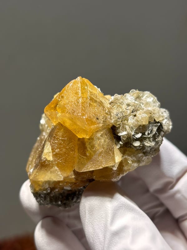 Golden scheelite cluster with mica from Xuebaoding, Sichuan, China, held in gloved hand
