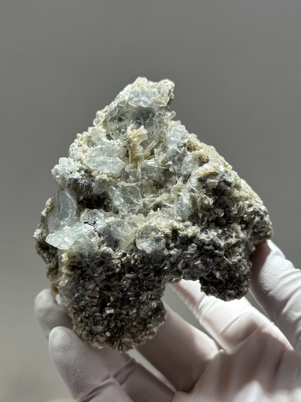 Grey mica block with many small aquamarine crystals from Xuebaoding, Sichuan, China, held in gloved hand