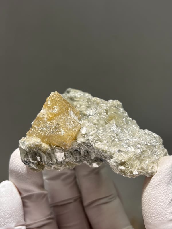 Honey scheelite on silvery mica plate from Xuebaoding, Sichuan, China, held in gloved hand