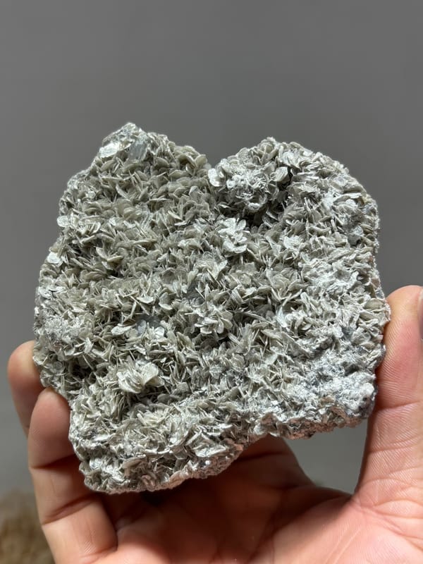 Plate of silvery mica rosettes with aquamarine and scheelite from Xuebaoding, Sichuan, China, held in hand