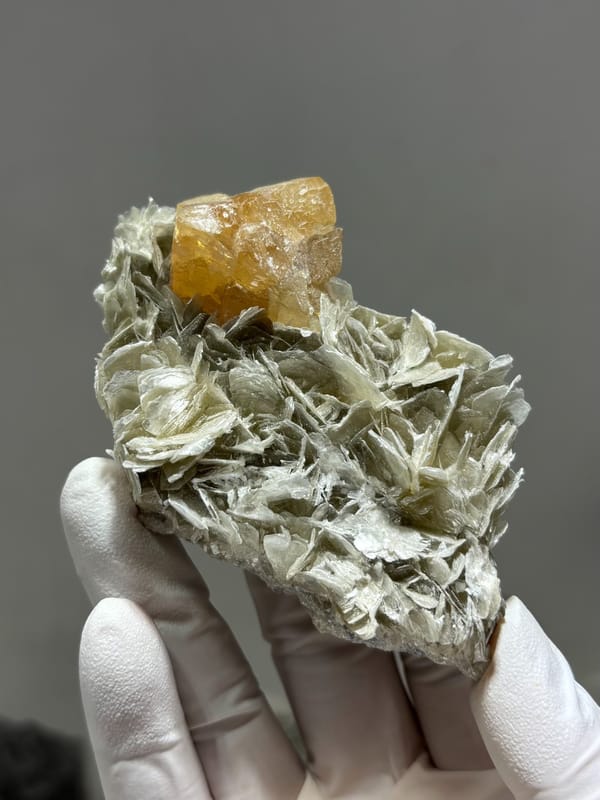Mica plate with honey scheelite crystal from Xuebaoding, Sichuan, China, held in gloved hand