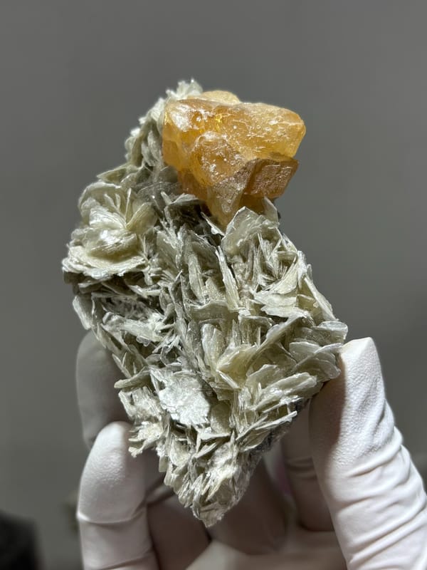 Mica plate with honey scheelite crystal from Xuebaoding, Sichuan, China, second angle
