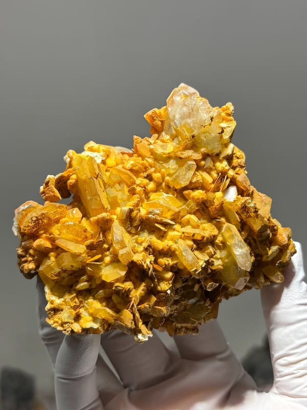Golden mica plate with pale aquamarine crystals from Xuebaoding, Sichuan, China, held in gloved hand