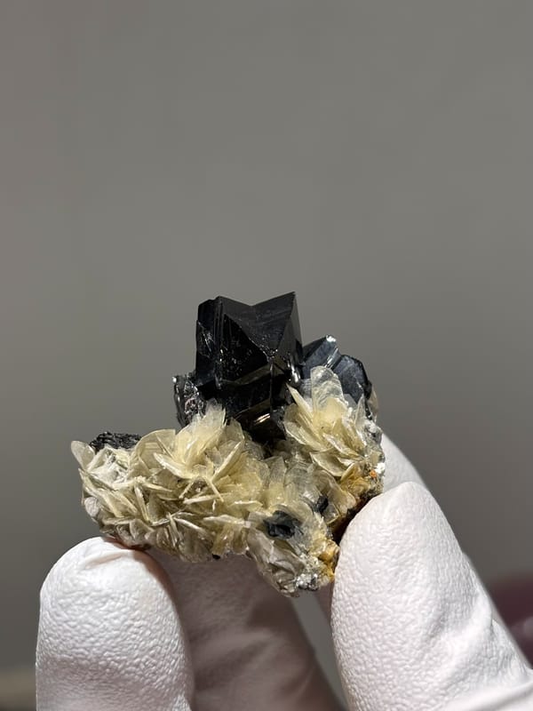 Black cassiterite crystal on pale mica rosettes from Xuebaoding, Sichuan, China, held in gloved hand