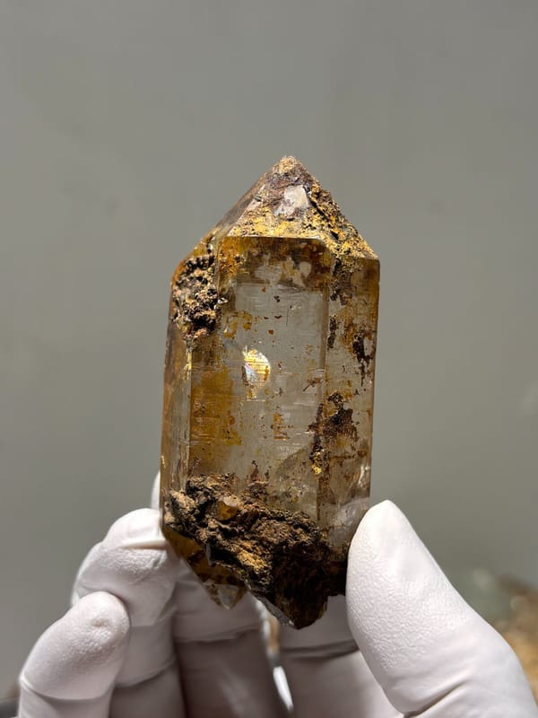 Himalayan quartz with rusty coat and complete tip, held in gloved hand