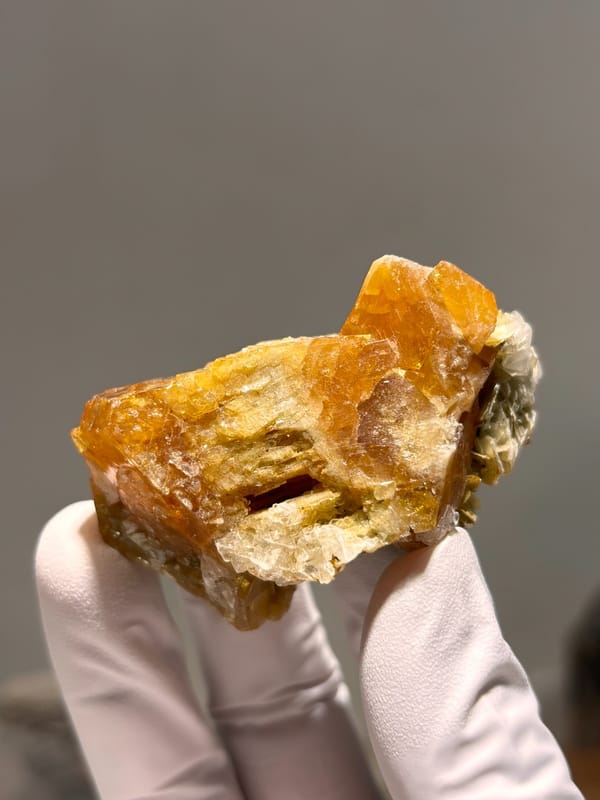 Orange scheelite floater from Xuebaoding, Sichuan, China, held in gloved hand
