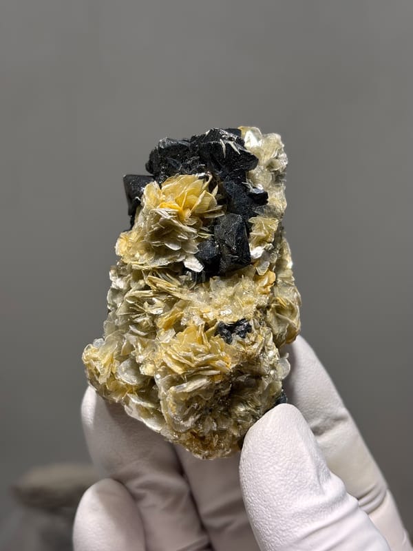 Black cassiterite crystals over tan mica rosettes from Xuebaoding, Sichuan, China, second angle