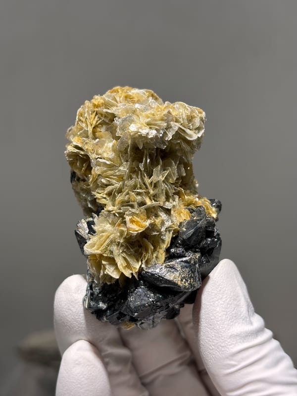 Black cassiterite crystals over tan mica rosettes from Xuebaoding, Sichuan, China, close-up of the crystal faces