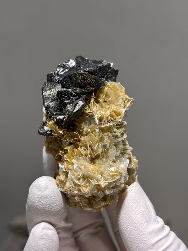 Black cassiterite crystals over tan mica rosettes from Xuebaoding, Sichuan, China, reverse side