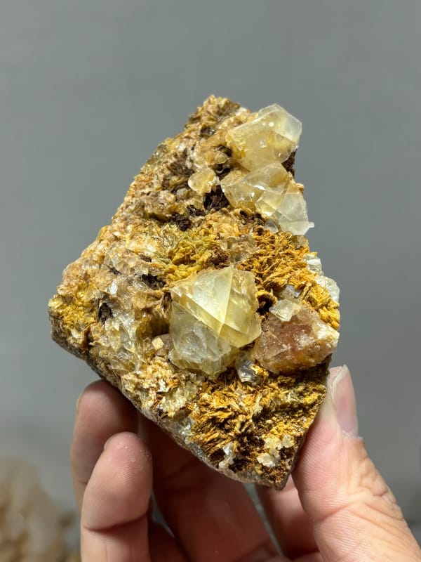 Pale fluorite crystals with scheelite in golden mica from Xuebaoding, Sichuan, China, held in hand