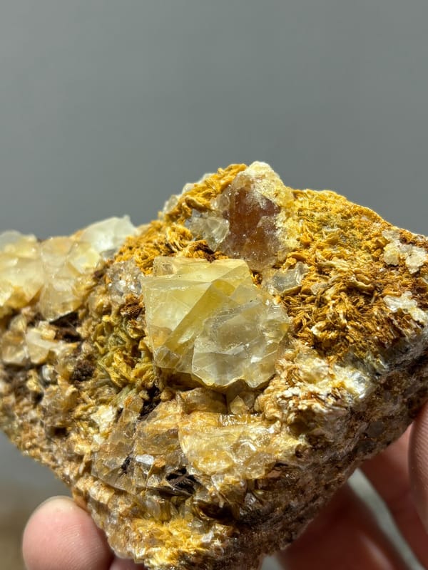 Pale fluorite crystals with scheelite in golden mica from Xuebaoding, Sichuan, China, close-up of the crystal faces