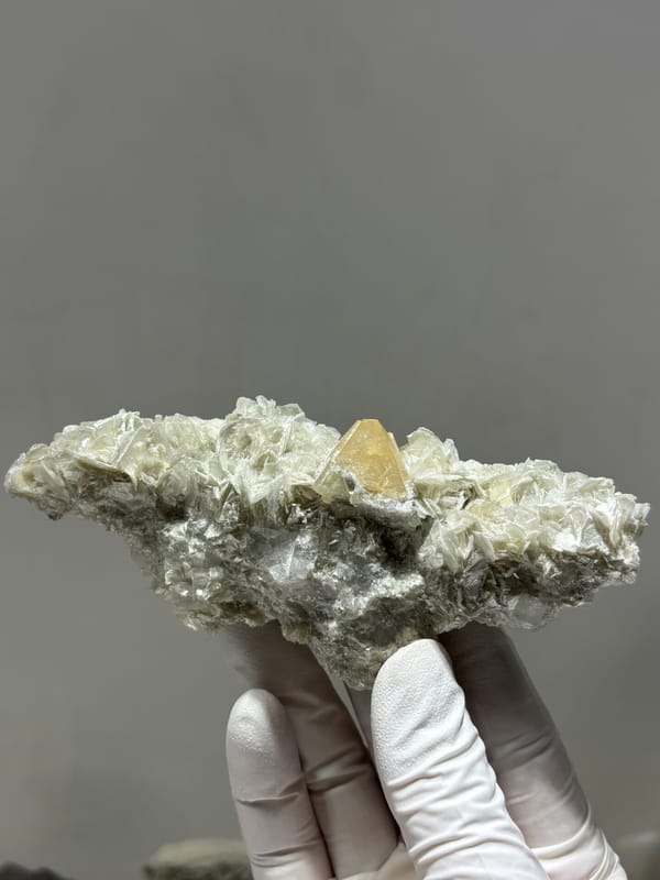 Mica plate with orange scheelite crystal from Xuebaoding, Sichuan, China, held in gloved hand