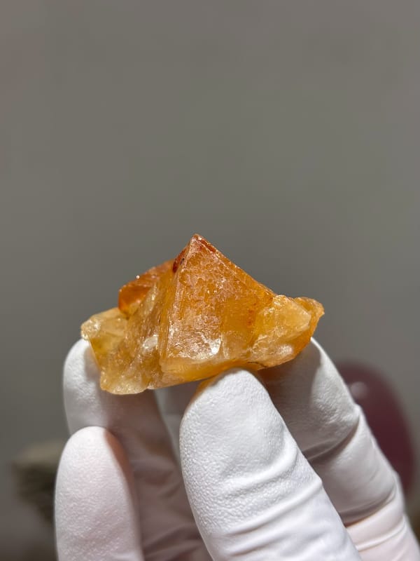 Orange scheelite crystal with glassy faces from Xuebaoding, Sichuan, China, held in gloved hand