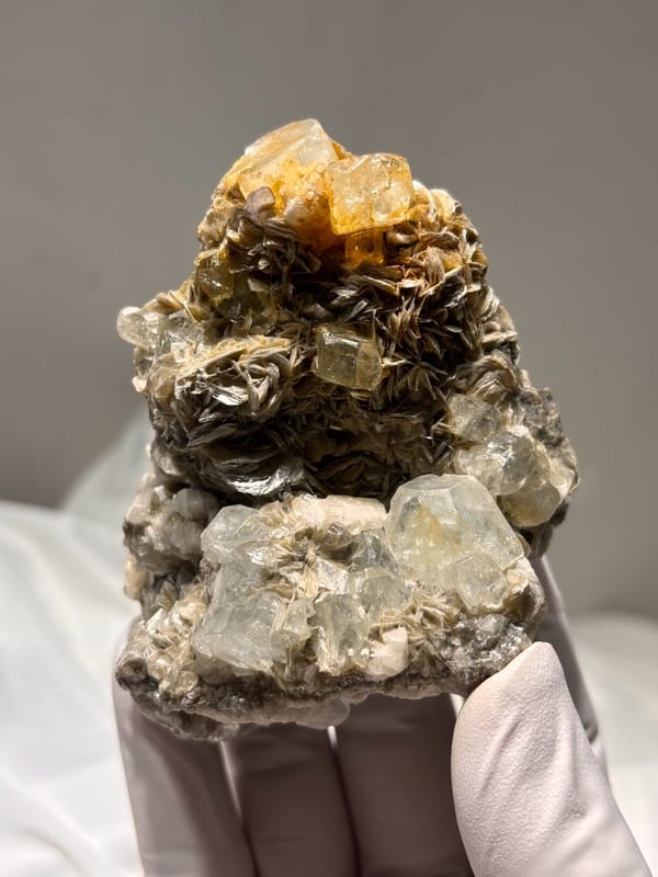 Quartz and aquamarine cluster on golden mica from Xuebaoding, Sichuan, China, held in gloved hand
