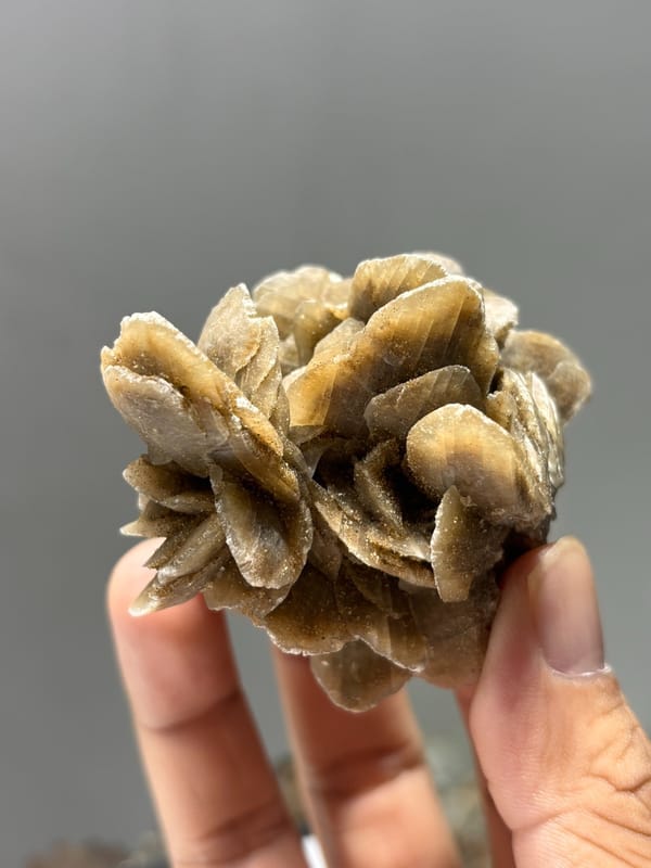 Tan gypsum desert rose from Inner Mongolia, China, second angle