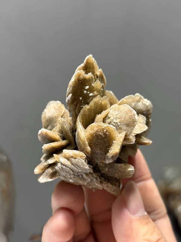 Tan gypsum desert rose from Inner Mongolia, China, close-up of the crystal faces