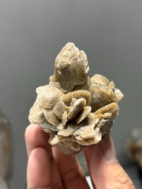 Tan gypsum desert rose from Inner Mongolia, China, reverse side
