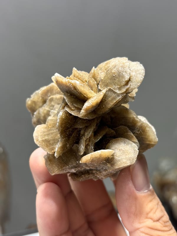Tan gypsum desert rose from Inner Mongolia, China, top view