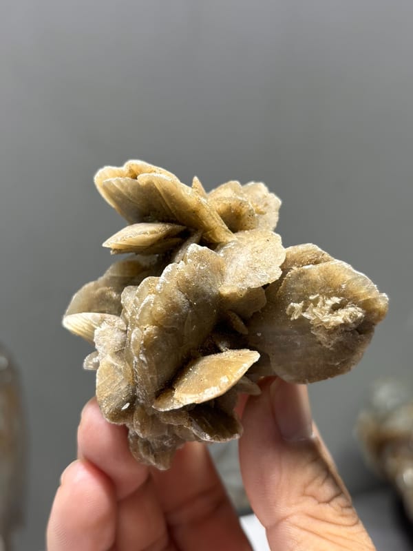 Tan gypsum desert rose from Inner Mongolia, China, detail of the matrix contact