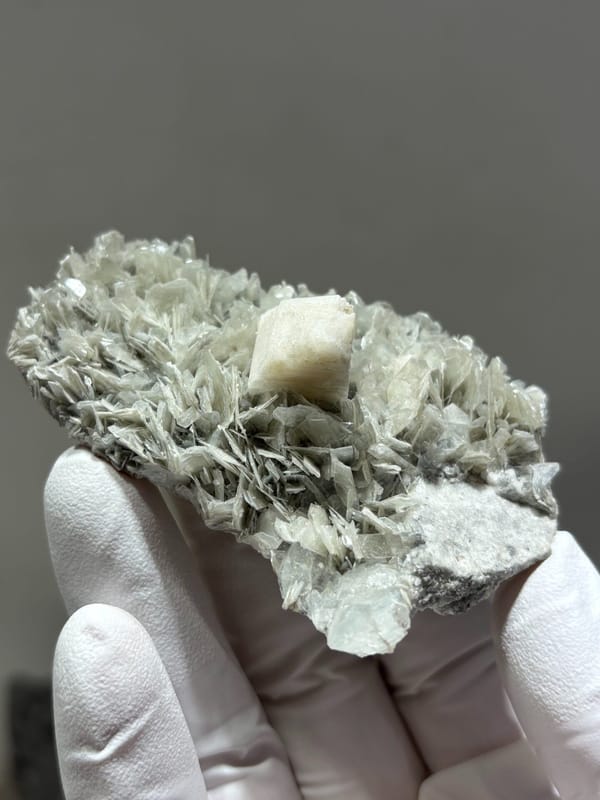 Pale mica plate with feldspar and hidden aquamarine from Xuebaoding, Sichuan, China, held in gloved hand
