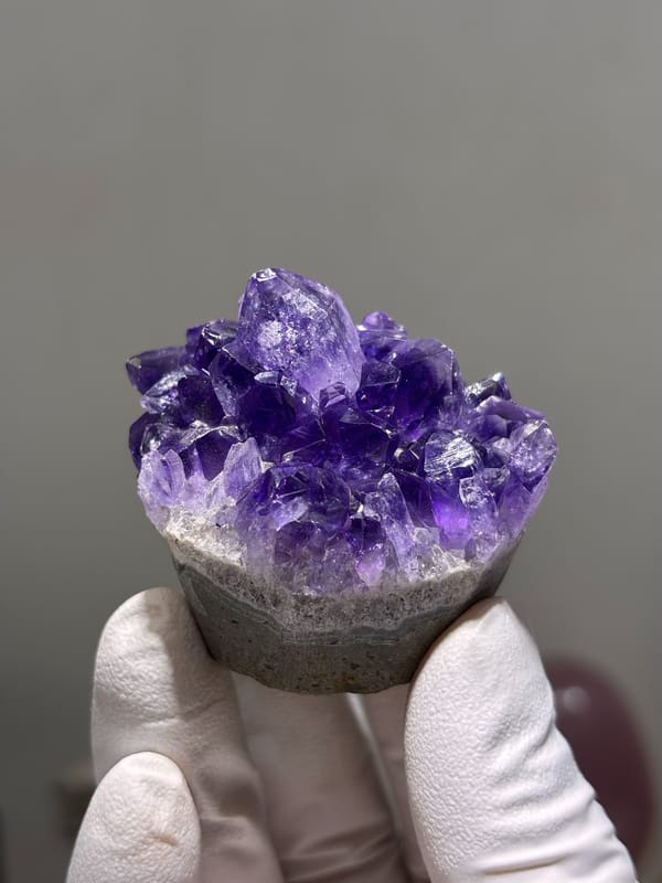 Deep purple amethyst cluster on sawn base from Brazil, held in gloved hand