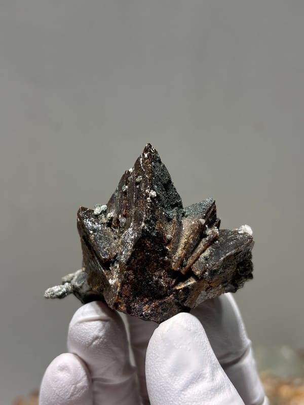 Dark brown helvine crystal group from Inner Mongolia, China, close-up of the crystal faces