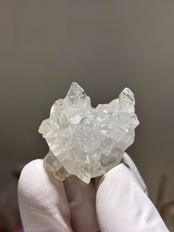 Cluster of clear apophyllite crystals from India, held in gloved hand