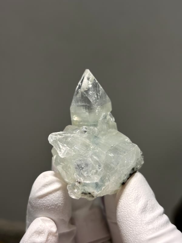 Clear apophyllite pyramid on white cluster from India, held in gloved hand