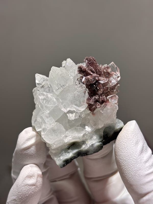 Clear apophyllite crystals with pink-brown cluster from India, held in gloved hand