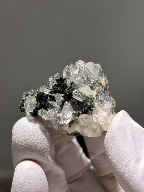Clear quartz points with dark green epidote from Sichuan, China, held in gloved hand