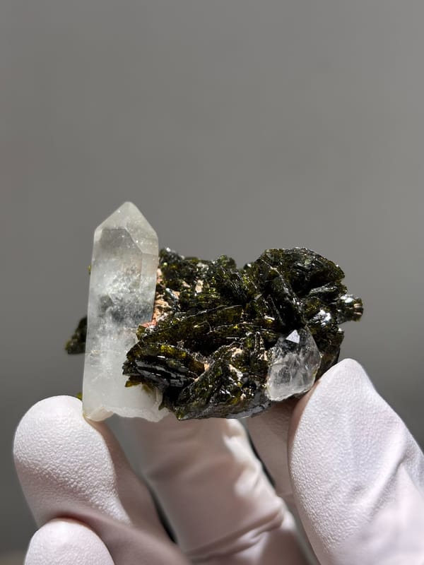 Clear quartz point on dark green epidote from Sichuan, China, held in gloved hand