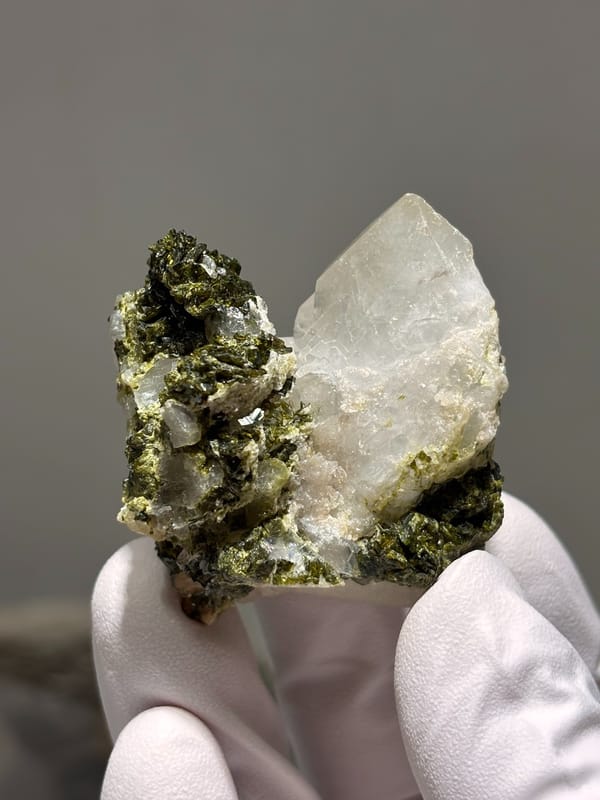 Milky quartz point on dark green epidote base from Sichuan, China, held in gloved hand