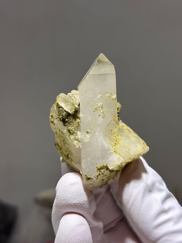 Milky quartz point with green epidote on floater base from Sichuan, China, held in gloved hand