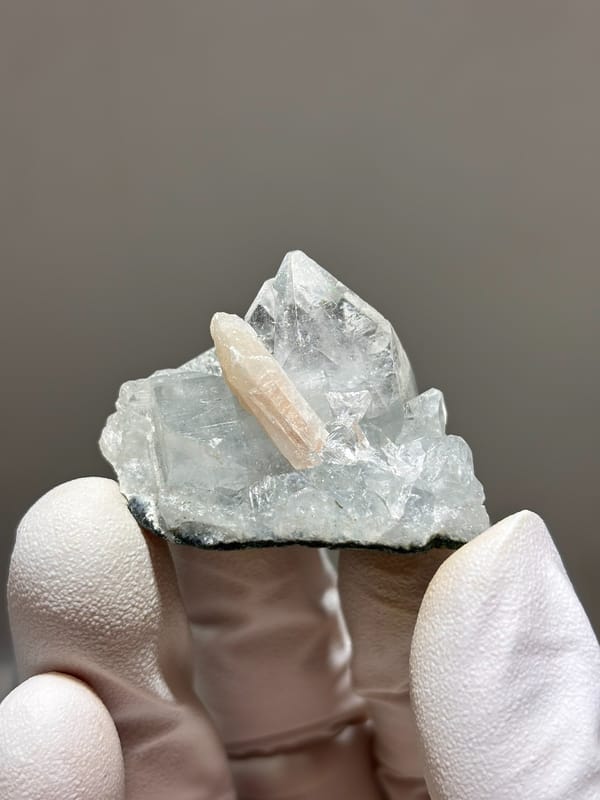 Pale green apophyllite cluster with zeolite spray from India, held in gloved hand