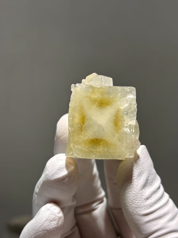 Pale yellow apophyllite cube with hourglass pattern from India, held in gloved hand