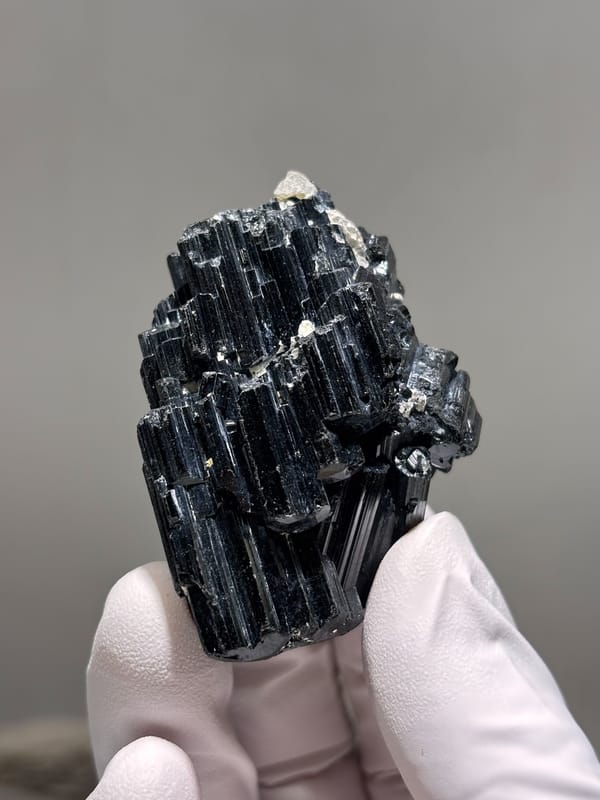 Glossy black schorl cluster from Mozambique, held in gloved hand