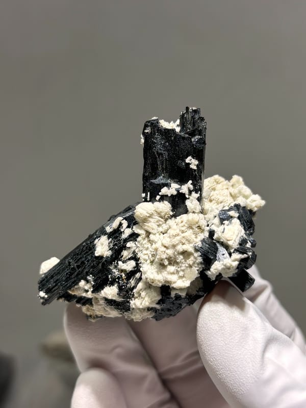 Black schorl prism on white feldspar from Namibia, second angle