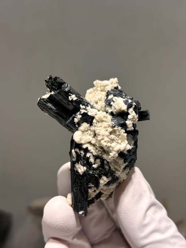 Black schorl prism on white feldspar from Namibia, close-up of the crystal faces