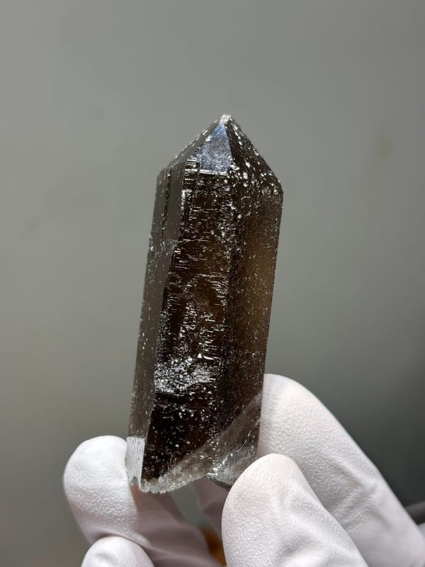 Dark smoky quartz point with sparkling flecks from Fujian, China, held in gloved hand