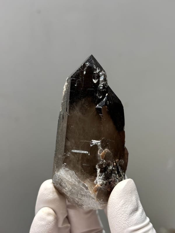 Dark smoky quartz point with complete tip from Fujian, China, held in gloved hand