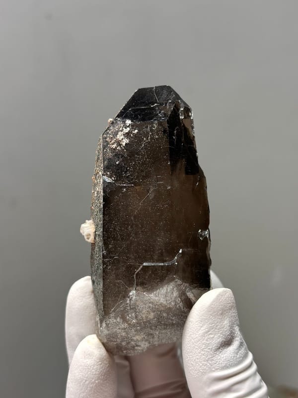 Dark smoky quartz point with complete tip from Fujian, China, reverse side